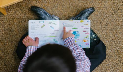 Unsere 14 besten Tipps für Kinder-Bücher und -Filme zum Thema Nachhaltigkeit